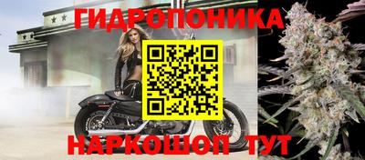 mdpv Шебекино