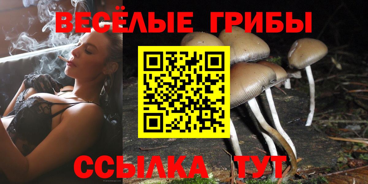 Волгодонск  Псилоцибиновые грибы GOLDEN TEACHER  Вход с VPN 