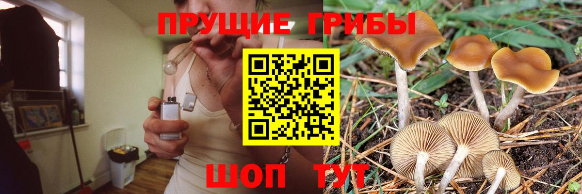 Псилоцибиновые грибы Cubensis Волгодонск
